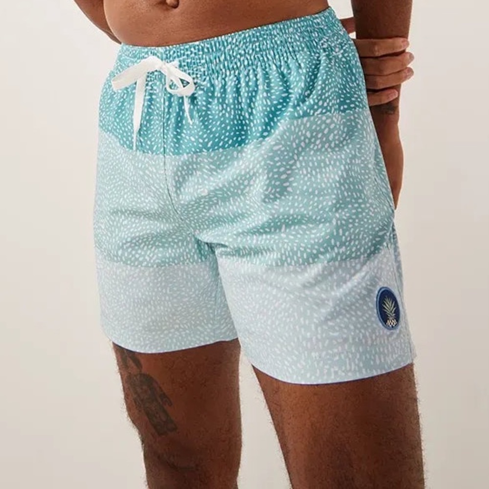 Chubbies Classic Swim Trunks- The Whale Sharks